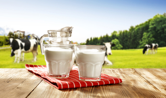 Το καρτέλ γάλακτος και η ευθύνη όλων μας